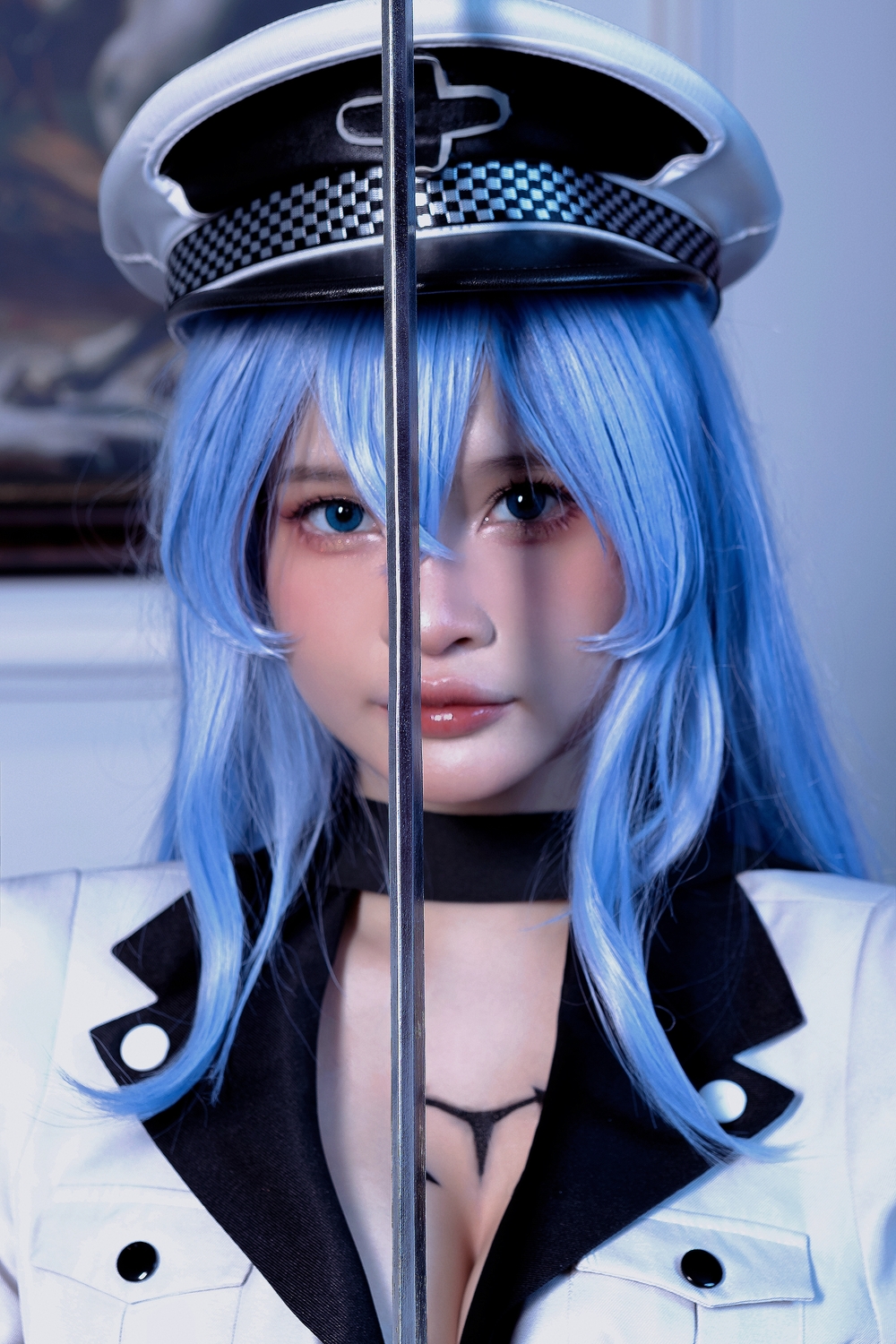 No.085-Esdeath [53P]-飞图屋