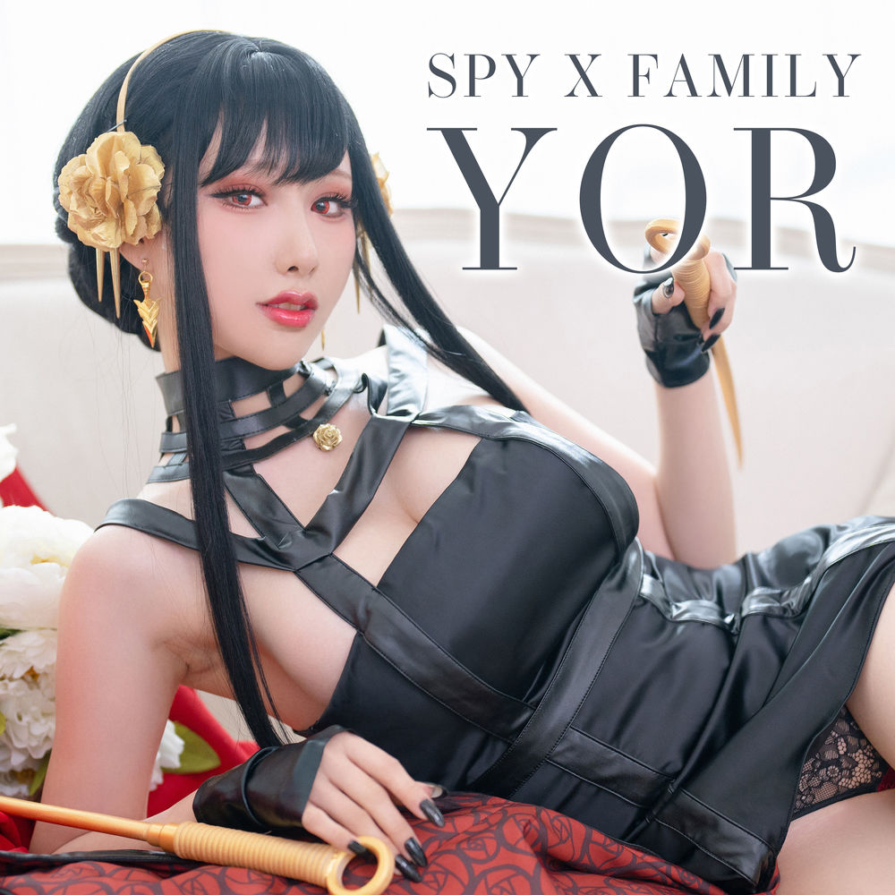 No.157-Spy x Family Yor Forger 间谍家族 [29P]-飞图屋